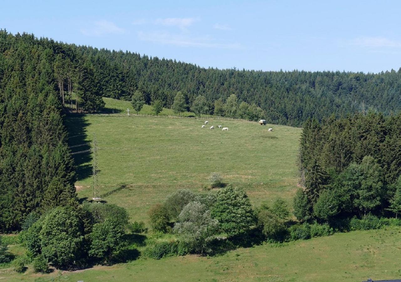 Hotel Suedhang Niedersfeld Eksteriør billede